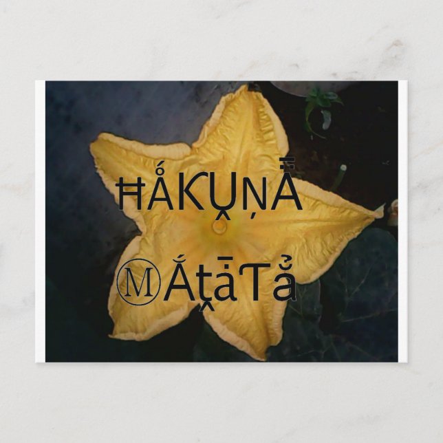 Carte Postale Golden Star Hakuna Matata (Devant)