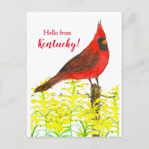Carte Postale Goldenrod Cardinal Bonjour Du Kentucky