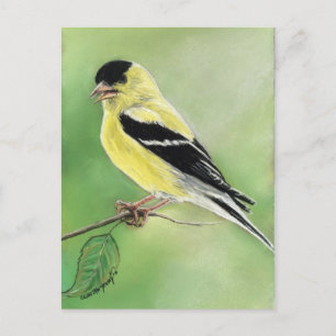 Carte postale "Goldfinch" Bird Art