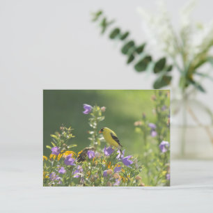 Carte Postale Goldfinch sur Harebell Flower