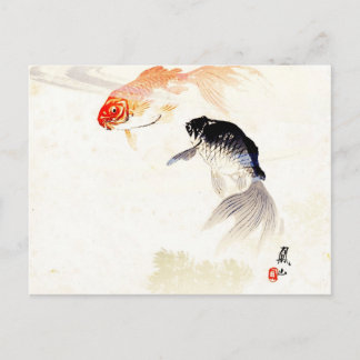 Carte Postale Goldfish