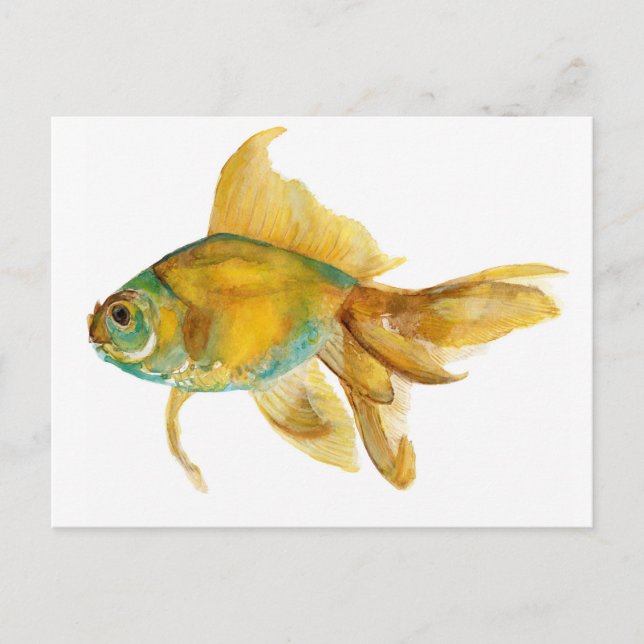 Carte Postale goldfish2.jpg (Devant)