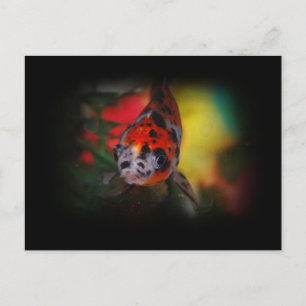 Carte postale Goldfish colorée
