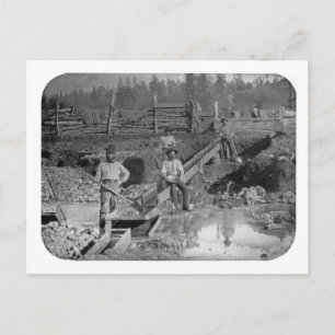 Carte Postale Goldminers Gold Rush Miners ~ Californie 1850