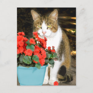Carte postale "Goldy & Red Flowers"