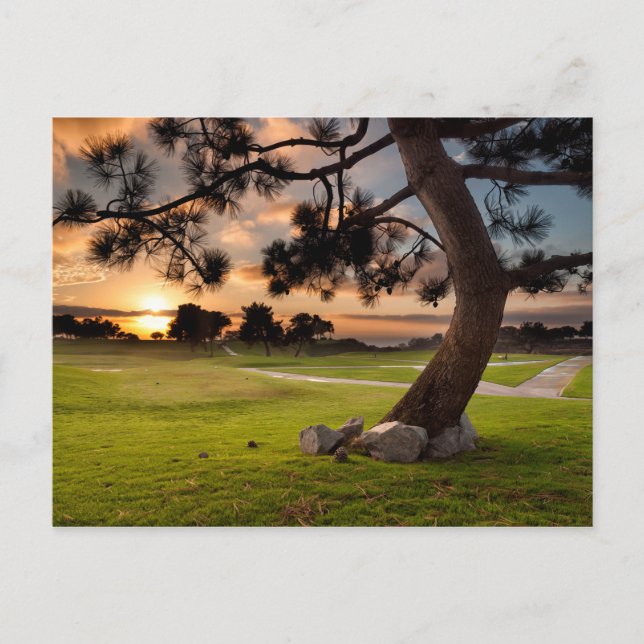 Carte Postale Golf Course Sunset (Devant)