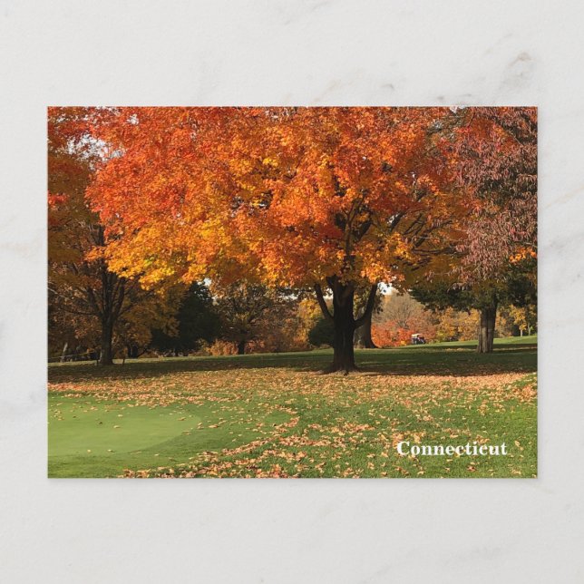 Carte postale "Golf En Automne" (Devant)