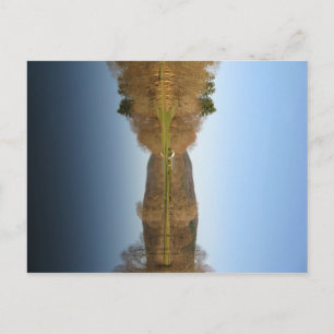 Carte Postale Golf inondé