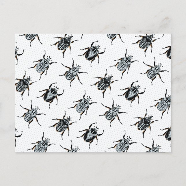 Carte Postale Goliath Beetles (Devant)