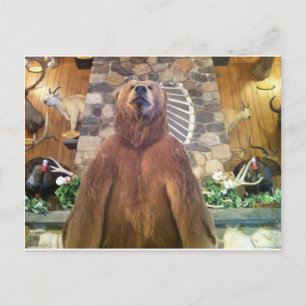 Carte Postale Goliath Space Fermes Zoo le plus grand ours du mon