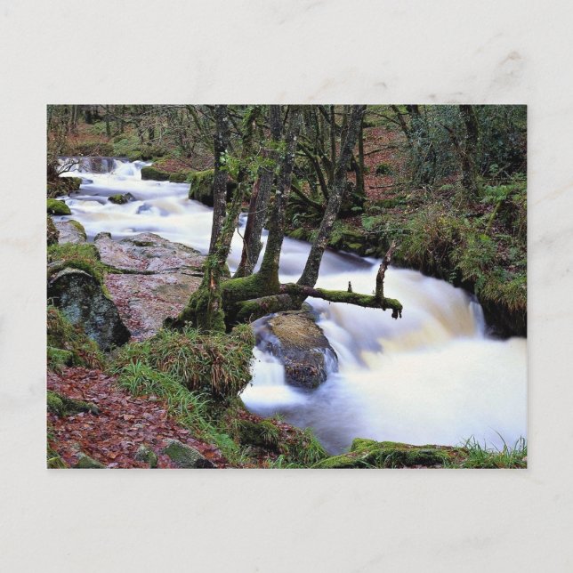 Carte Postale Golitha Falls, Cornwall, Angleterre au Cornish Ri (Devant)