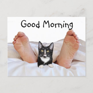 Carte Postale Good Morning Tuxedo kitty