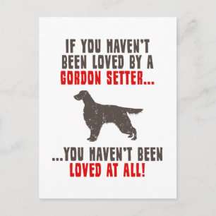 Carte Postale Gordon Setter