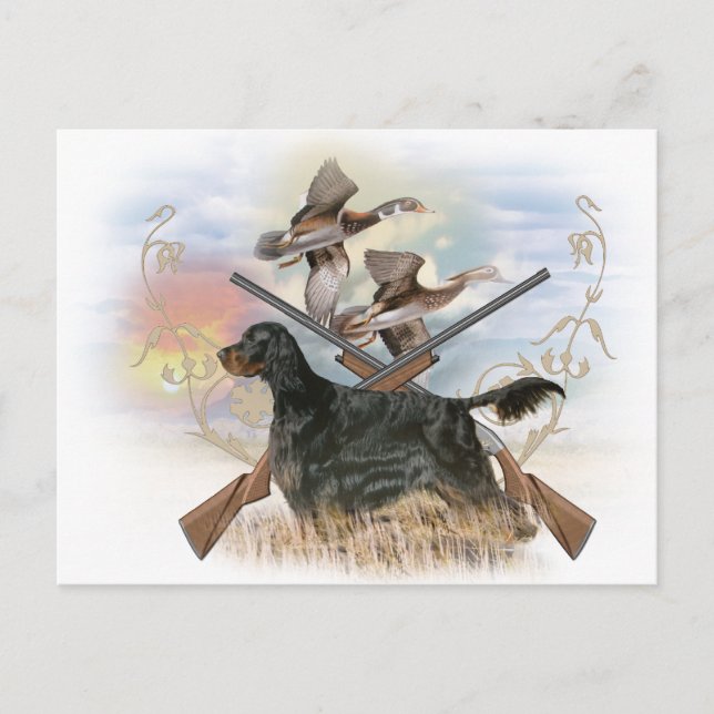 Carte Postale Gordon Setter Hunts (Devant)
