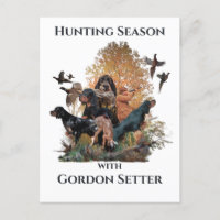 Gordon setters, Art