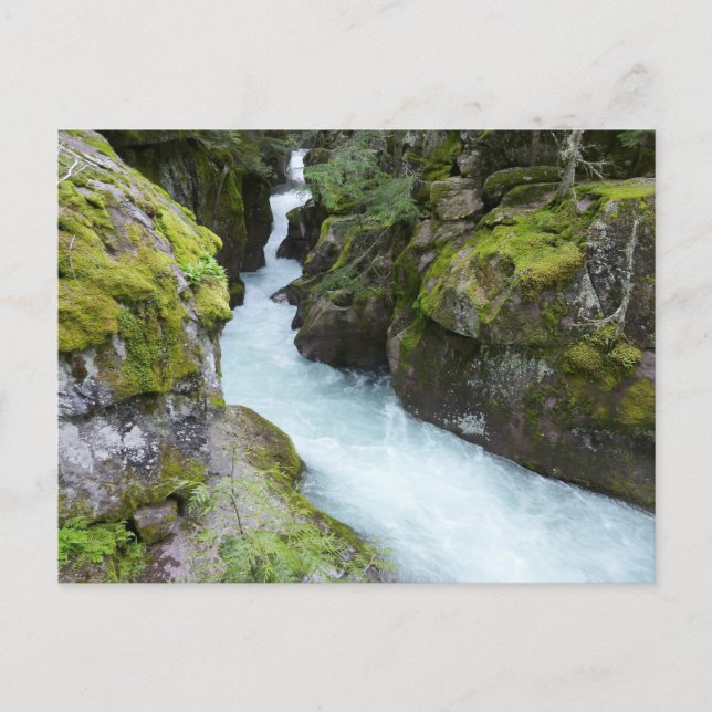 Carte Postale Gorge d'Avalanche I au Glacier National Park (Devant)