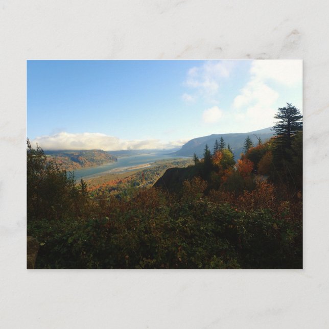 Carte Postale Gorge de Columbia à l'automne (Devant)