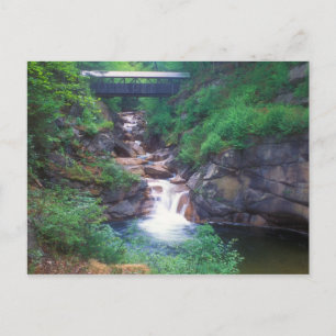 Carte Postale Gorge de la lueur du pont Sentinel Pine
