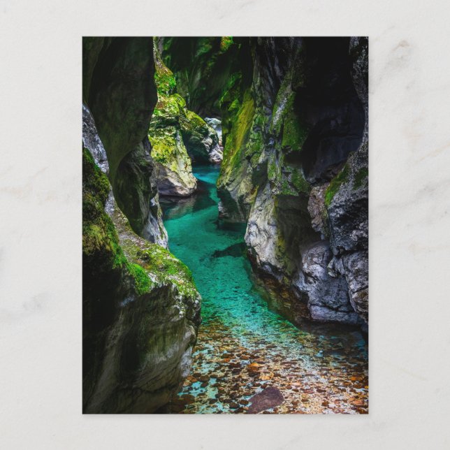 Carte Postale gorge de Soca en Slovénie (Devant)