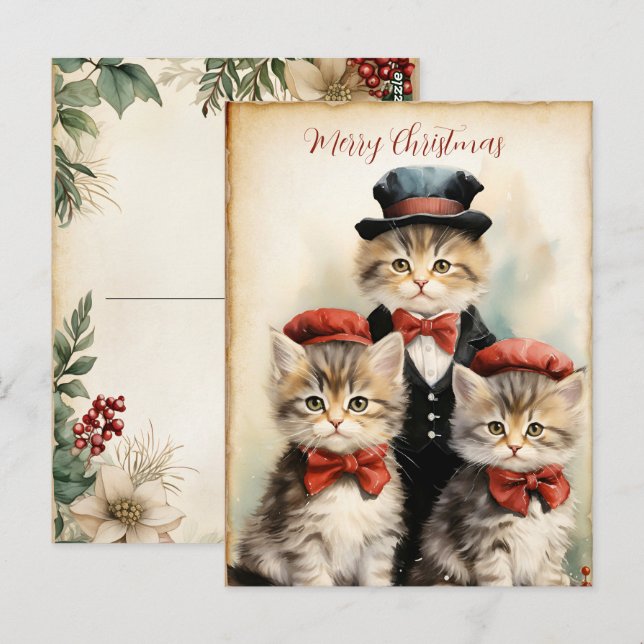 Carte Postale Gorgeous Three Kitten Family Christmas  (Devant / Derrière)