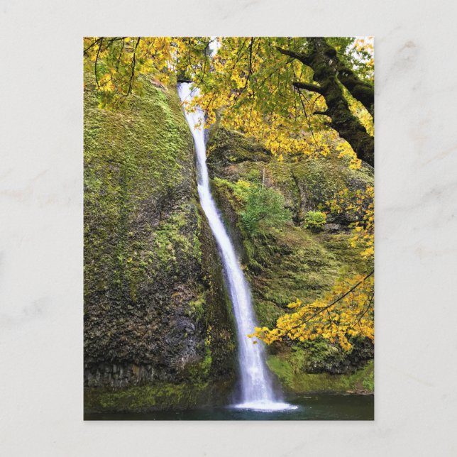 Carte Postale Gorges de Columbia, Oregon (Devant)