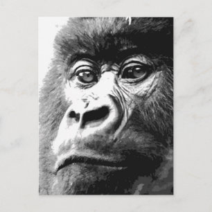 Carte Postale Gorilla
