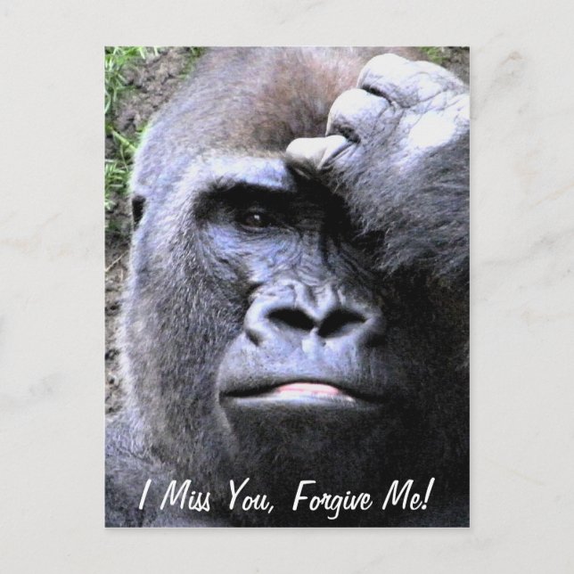 Carte Postale Gorilla_ (Devant)