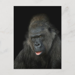 Carte Postale Gorilla Biddy Classic