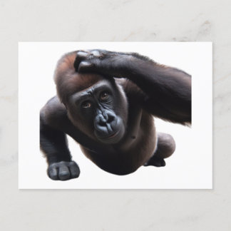 Carte Postale Gorilla doing push-ups.
