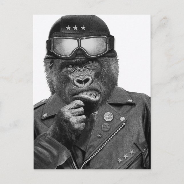 Carte Postale Gorilla Guy (Devant)