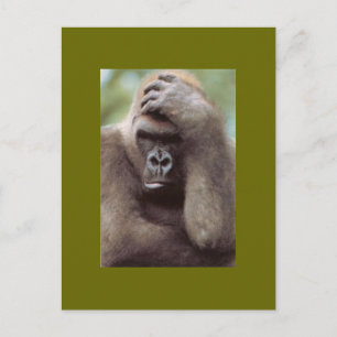 CARTE POSTALE GORILLA PENSER