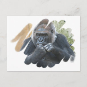 Carte postale Gorilla Primate