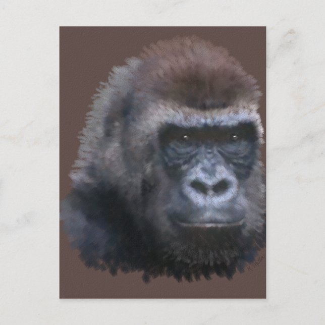 Carte Postale Gorilla Silverback (Devant)
