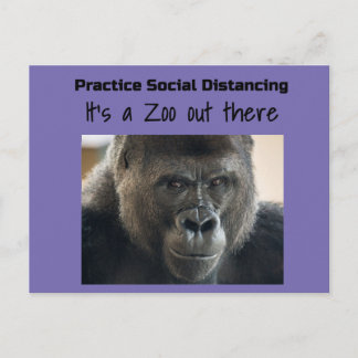 Carte Postale Gorillas in the Midst Corona Riot by Funnycomb