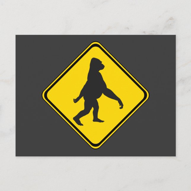 Carte Postale Gorillas Xing ! (Devant)