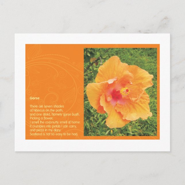 Carte Postale Gorse (Devant)