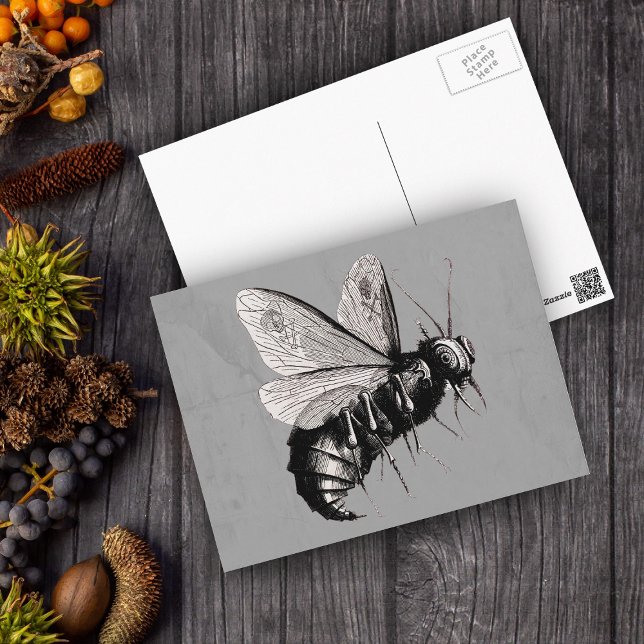 Carte Postale Gothique Aile du crâne d'abeille (Big Gothic black white bee skull crossbones on wings on grey postcard.)