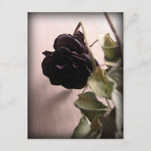 Carte Postale Gothique Rose mort