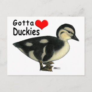 Carte Postale Gotta Love Duckies