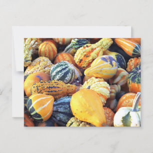 Carte Postale Gourdes colorées Gros plan