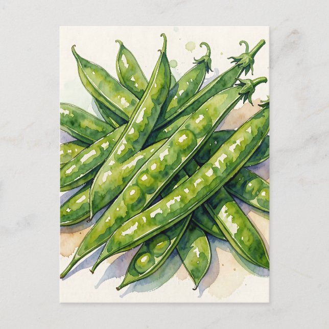 Carte Postale Gousses de Pois à l'Aquarelle (Devant)