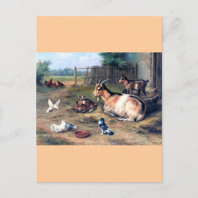 Carte Postale Goût de ferme enfants pigeons (Devant)