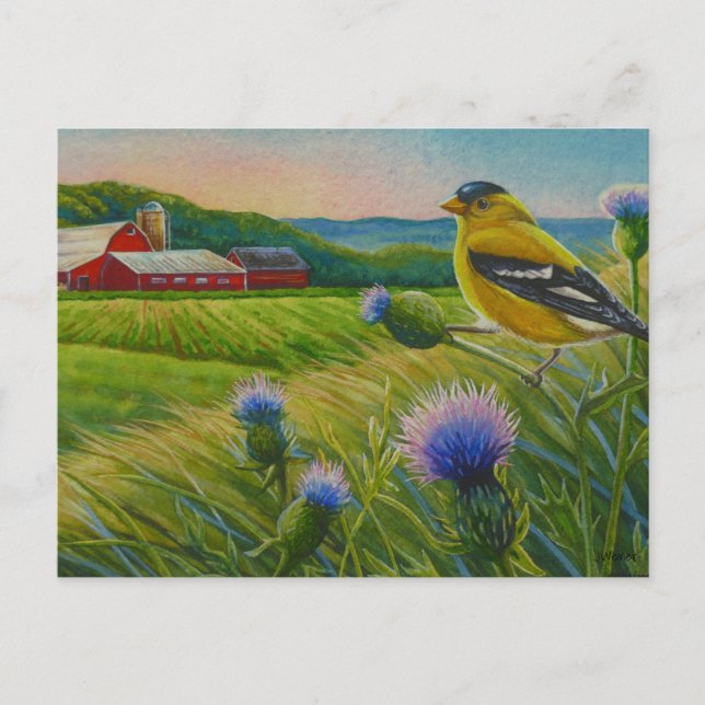 Carte Postale Goût d'oiseaux Goldfinch Aquarelle de ferme d'été  (Devant)