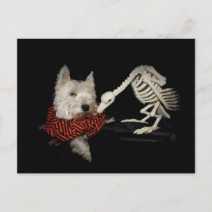 Carte Postale Goûts Comme Le Poulet, Vautour & Westie
