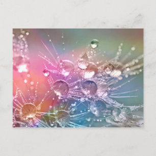 Carte Postale Gouttes d'eau