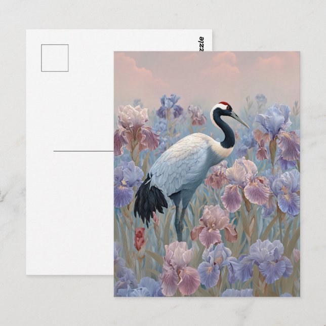 Carte Postale Graceful terrain de grue en floraison Irises (Devant / Derrière)