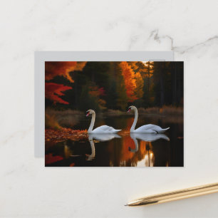 Carte Postale Gracieux Cygnes Blancs Glissant Sur L'Étang D'Auto