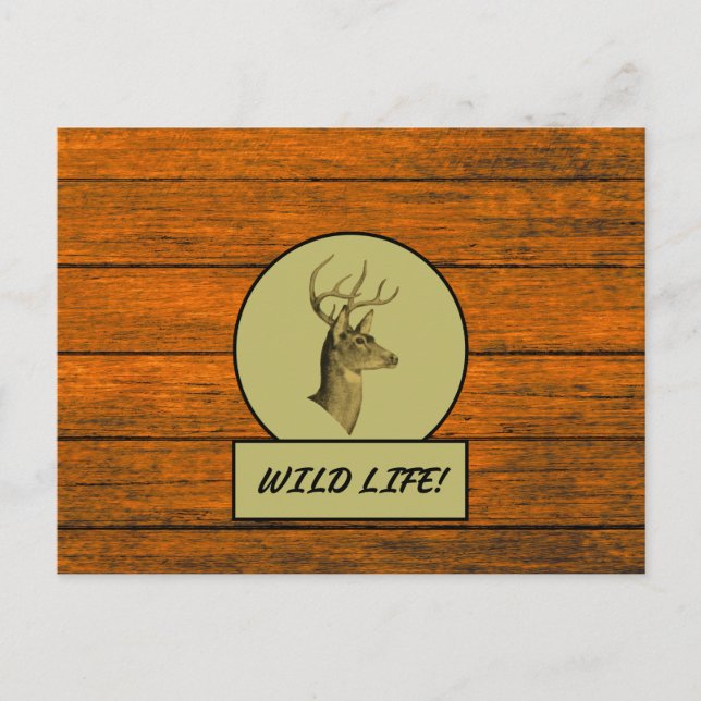Carte postale grain de bois Buck Head (Devant)