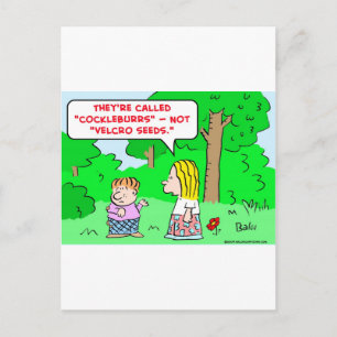 Carte Postale graine de velcro