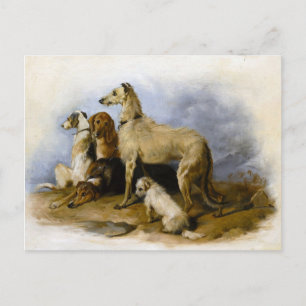 Carte Postale Graines de chiens vintages Imprimer